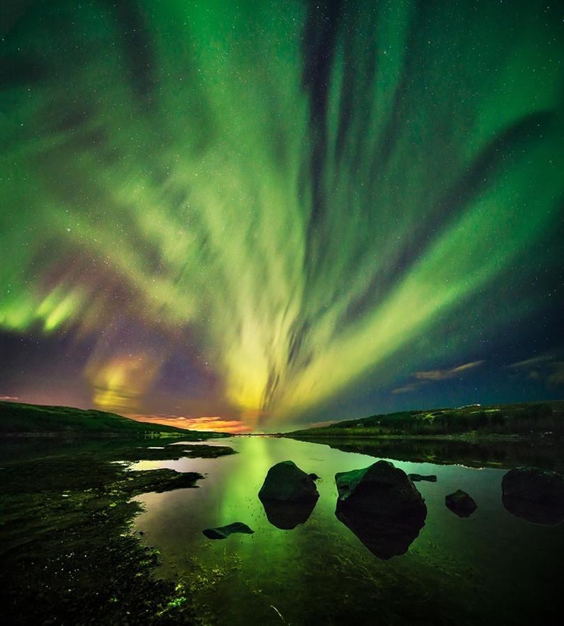 Fox Hotel Reykjavík Exteriör bild