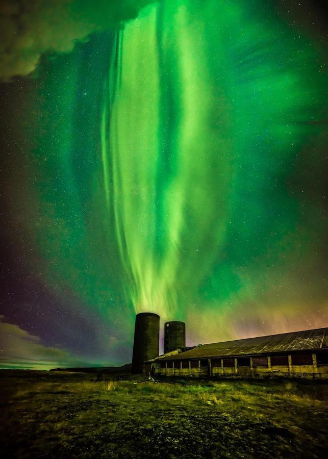 Fox Hotel Reykjavík Exteriör bild